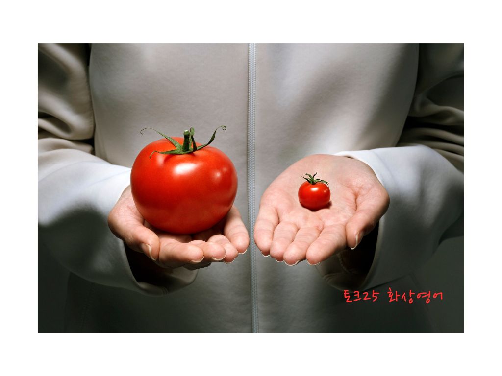 영어 비교급·최상급, 이렇게 배우면 쉬워요!