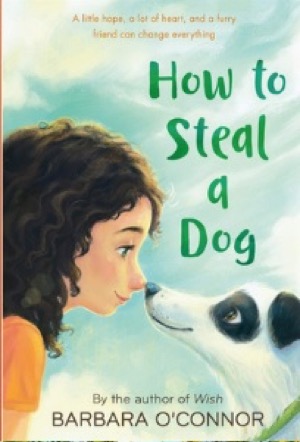 How to Steal a Dog